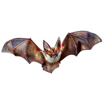 bat-100-piece-shaped-jigsaw-puzzle~14488979-a02$NOWA$