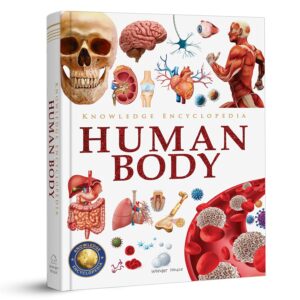 Knowledge Encyclopedia: Human Body