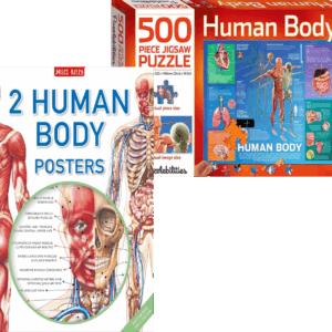 Human Anatomy Poster Pack/Puzzle Bundle