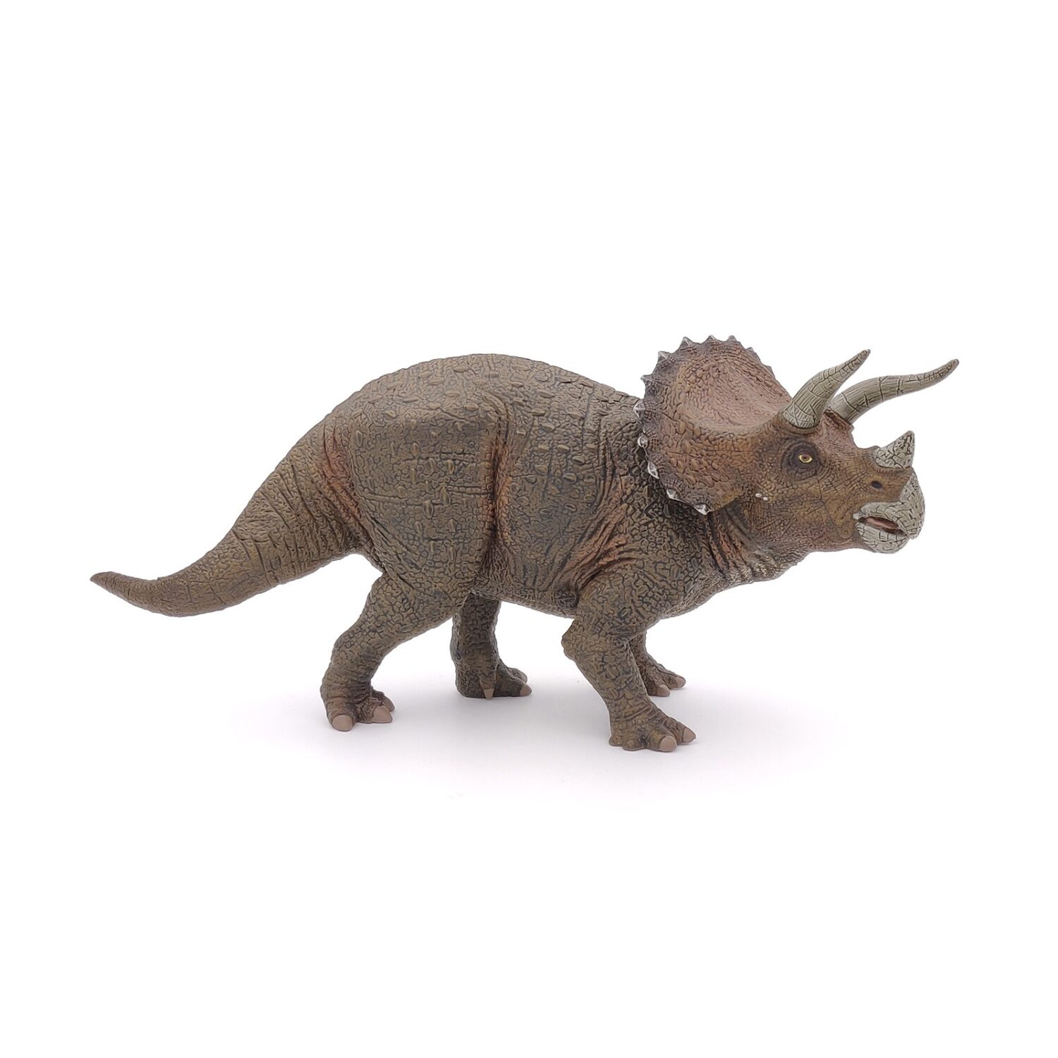 triceratops (1)