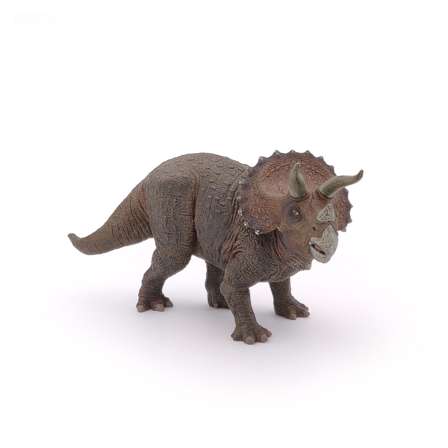 triceratops