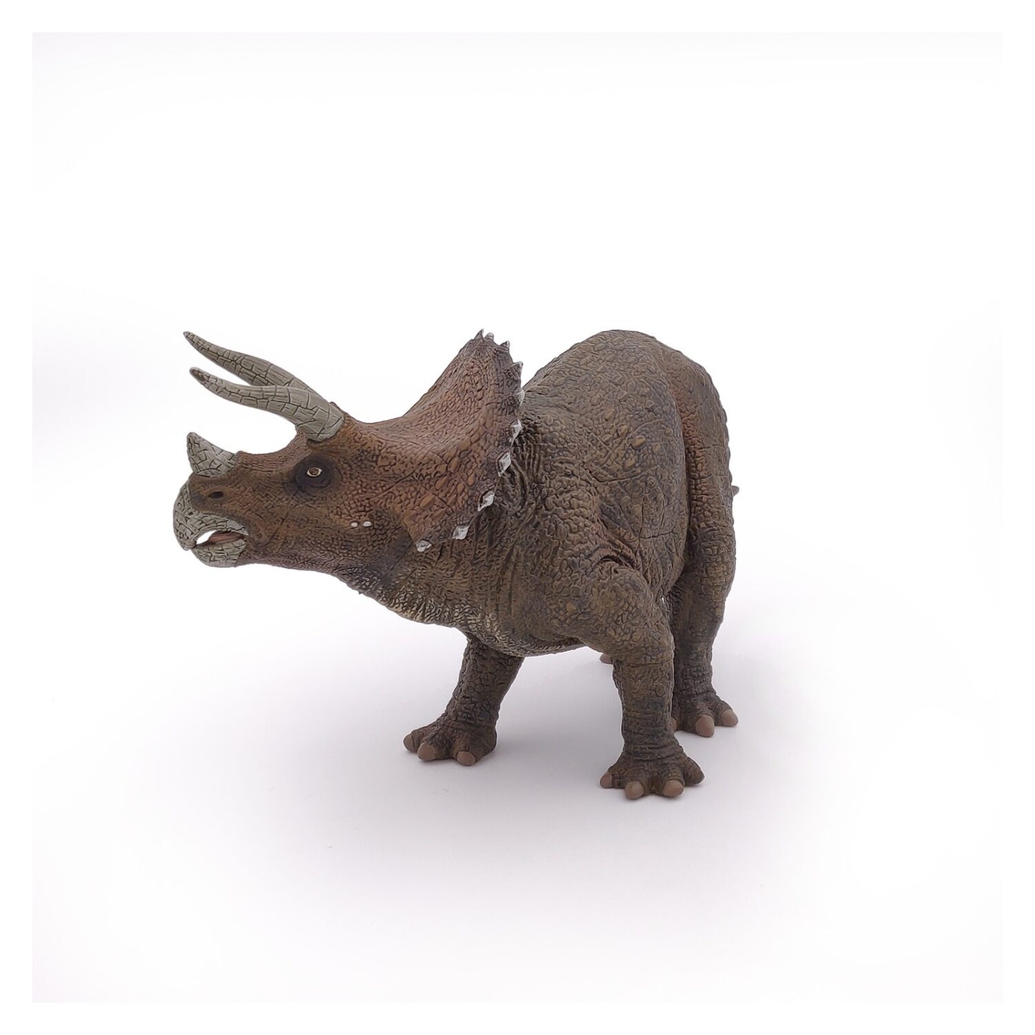 triceratops (2)