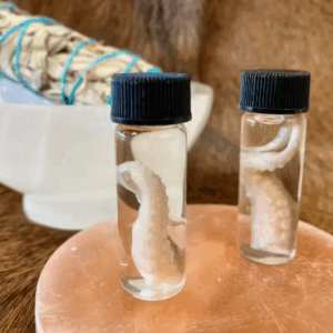 Octopus Tentacle Vial
