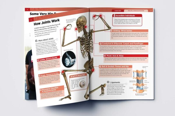 71ipzpc3x+L._SL1500_