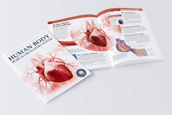 817mgiO9HwL._SL1500_