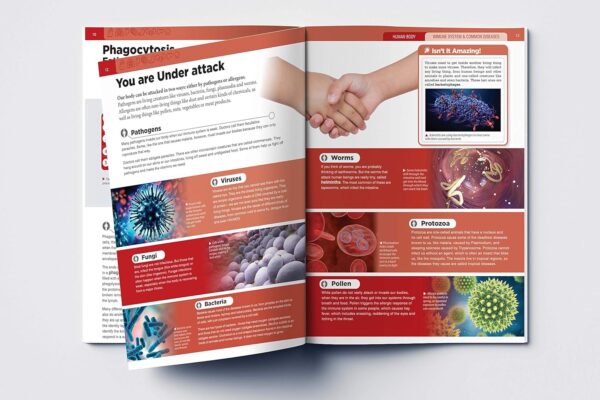 81YtJe1Ga-L._SL1500_