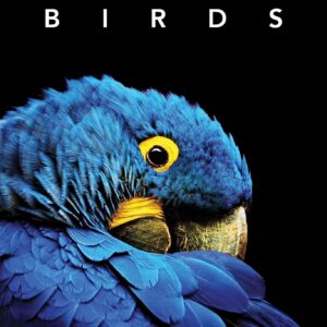 Birds Book (Deluxe Photography)