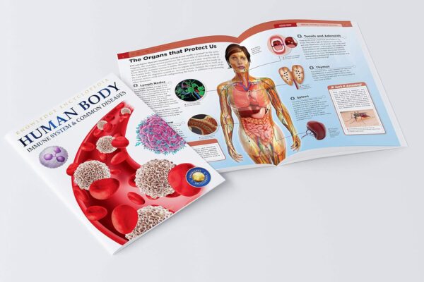 81yYdg-BQiL._SL1500_