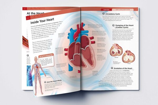 81zyZJMkl9L._SL1500_