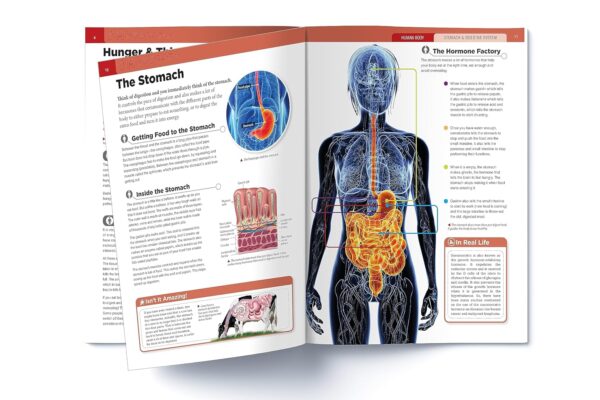 91nb9aNvIgL._SL1500_