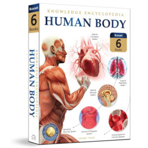 Knowledge Encyclopedia: Human Body Book Box Set